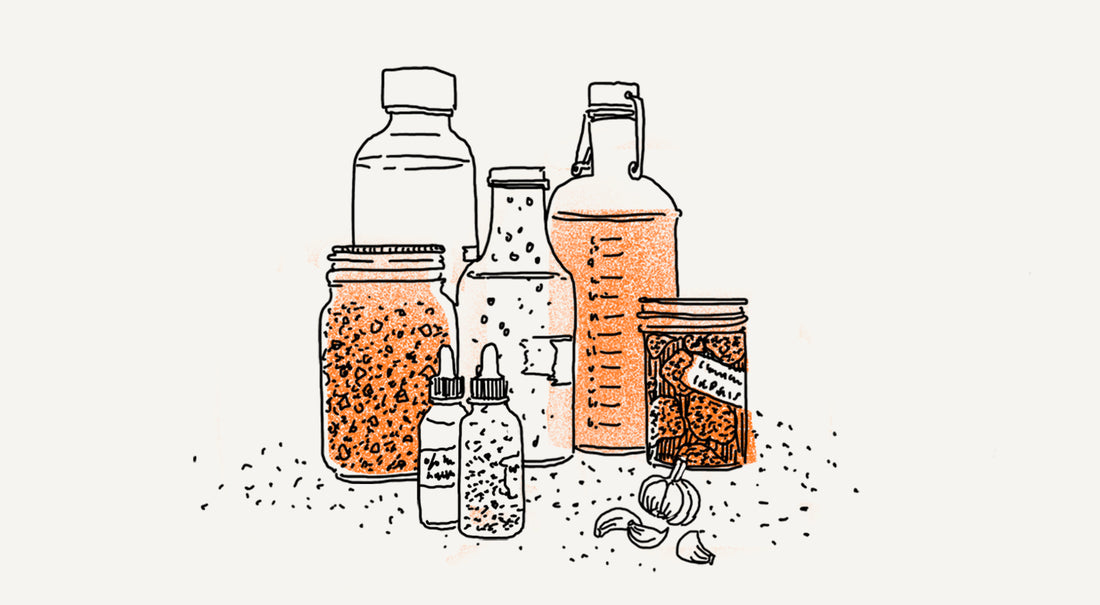 Spotlight on Vinegar Fermentation