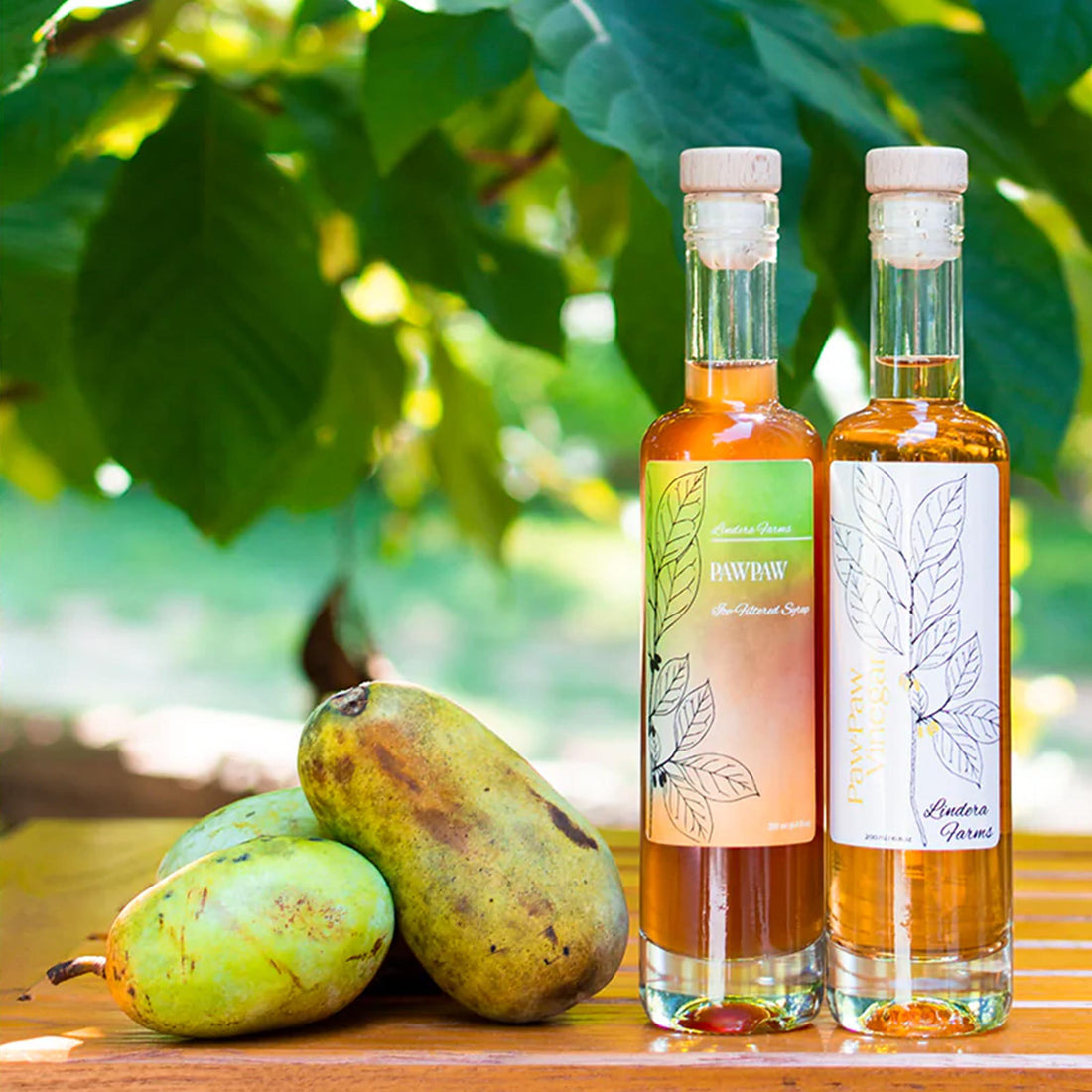 Preserving The Pawpaw